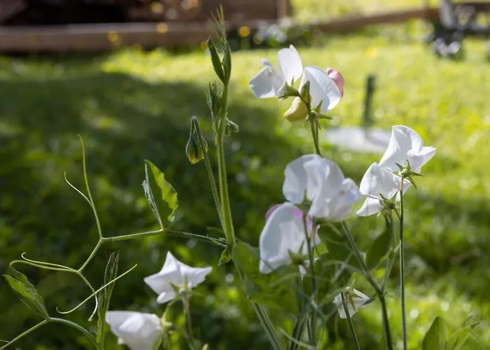 Perktold Séjour à la campagne *